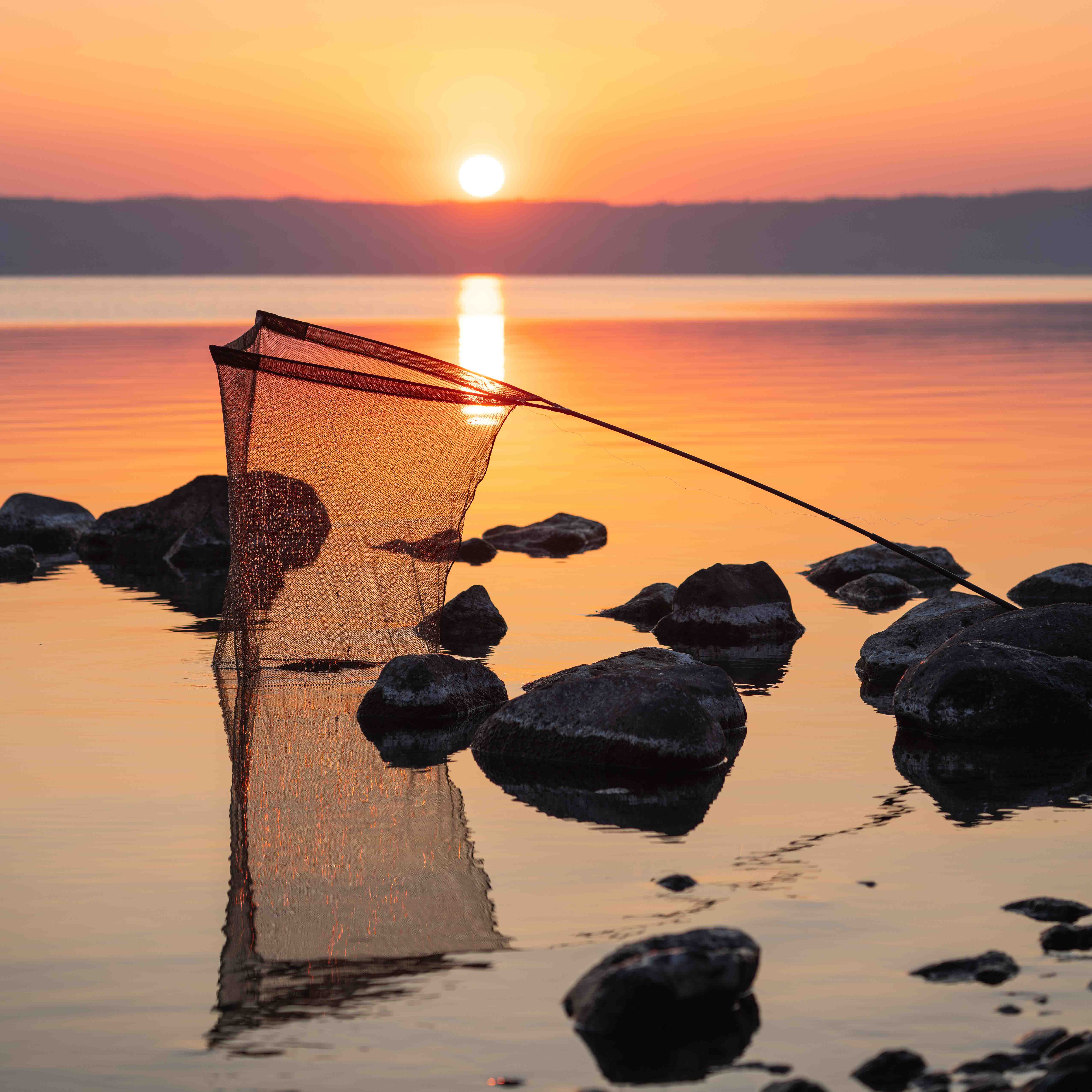 Air Force F40 Landing Net 46"