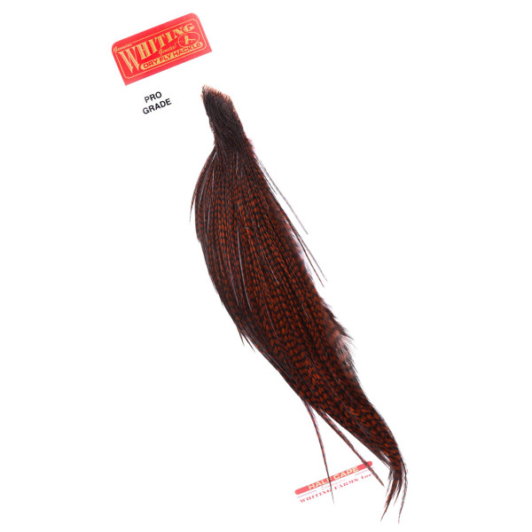 Whiting Pro Grade 1/2 Cape Grizzly dyed Coachman Brown