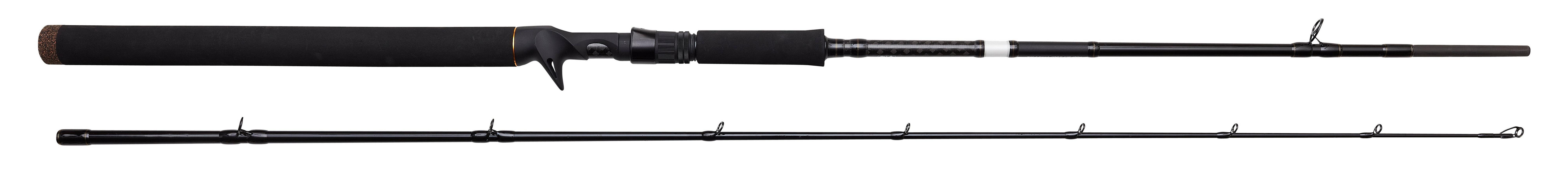 Savage Gear SG SG2 J.SPC. BC 6FT6IN/1.98M F 70-100G/XH