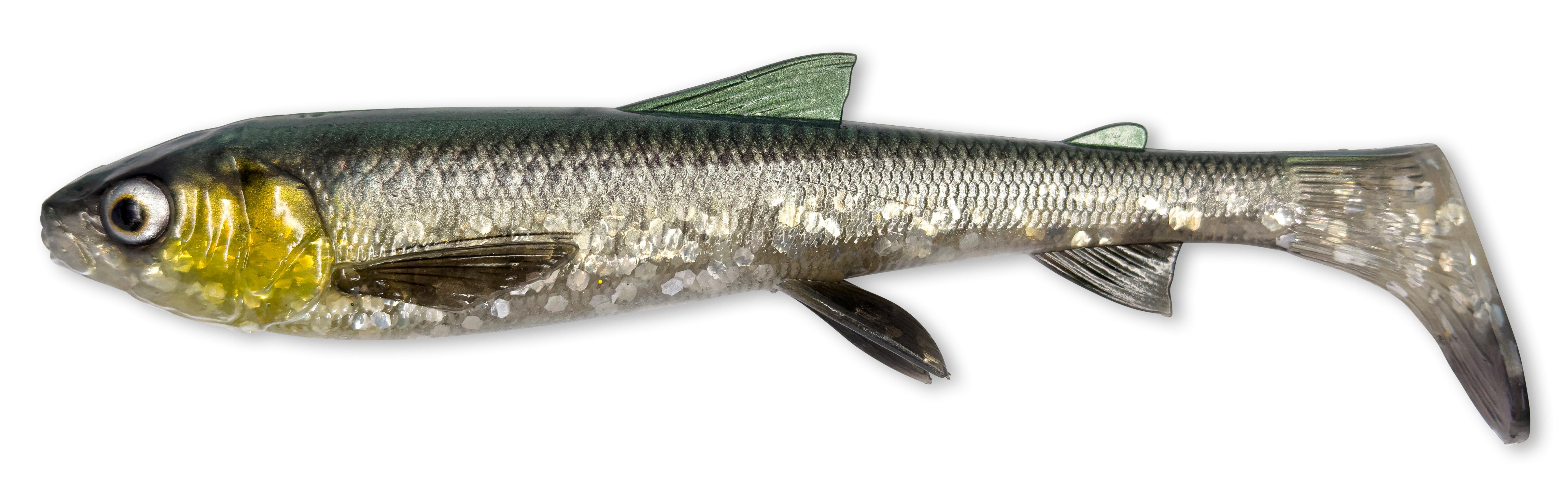 3D WHITEFISH SHAD 17,5cm - 42gr - green silver 2pz
