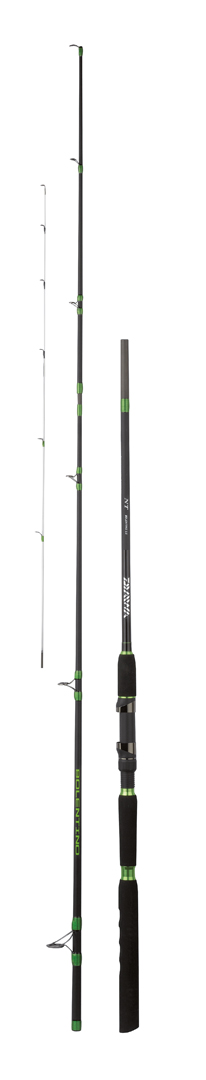 CANNA NT BOLENTINO 3.0 M
