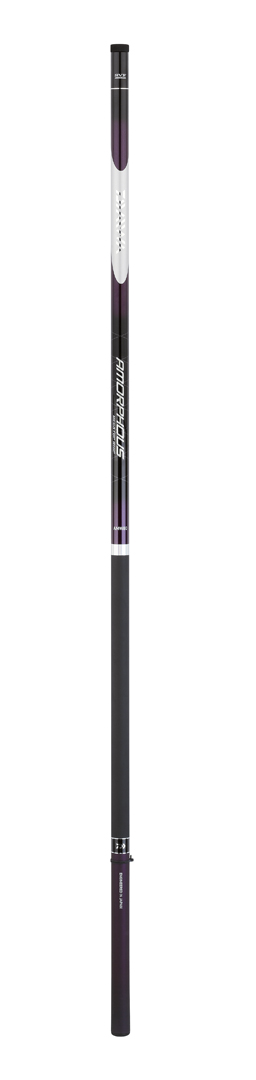 CANNA AMORPHOUS MEGATOP WHIP80
