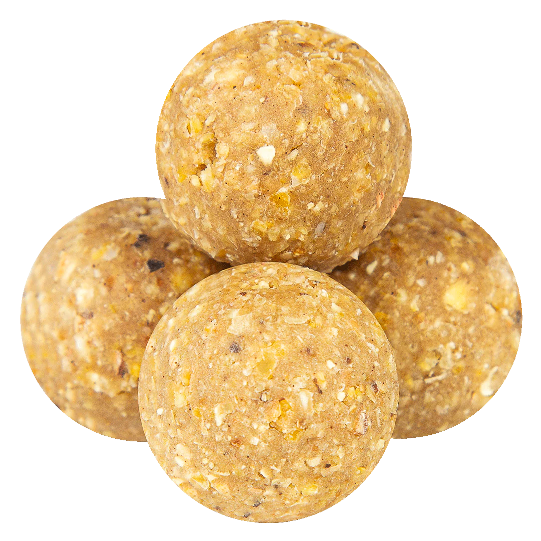 FAST BOILIES GARLIC & SQUID OCTOPUS 16mm 5kg