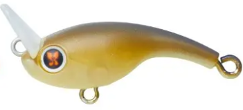 PRESSO RIVECRA 30SS OLIVE GLOW
