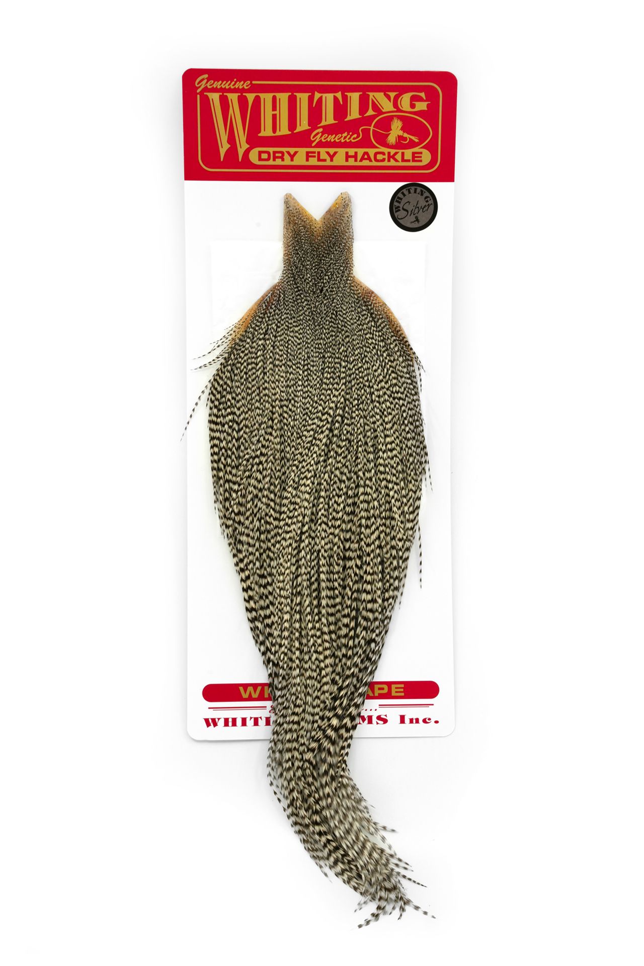 Whiting Silver Cape Grizzly