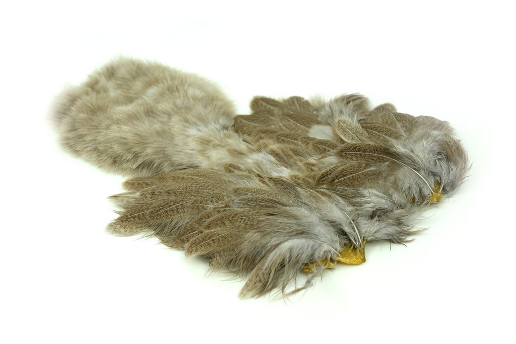 Brahma Hen SH/C Mottled Gray dyed Light Dun