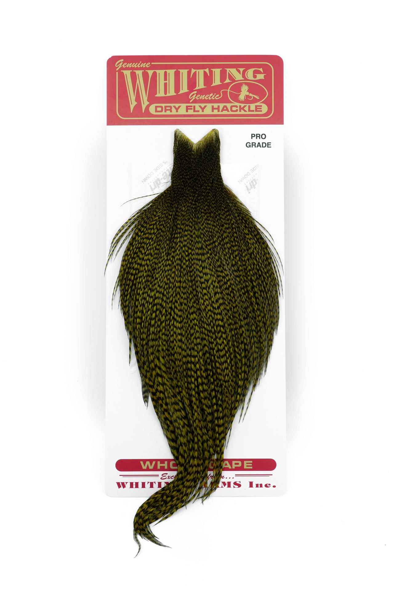 Whiting Pro Grade Cape Grizzly dyed Dark Olive