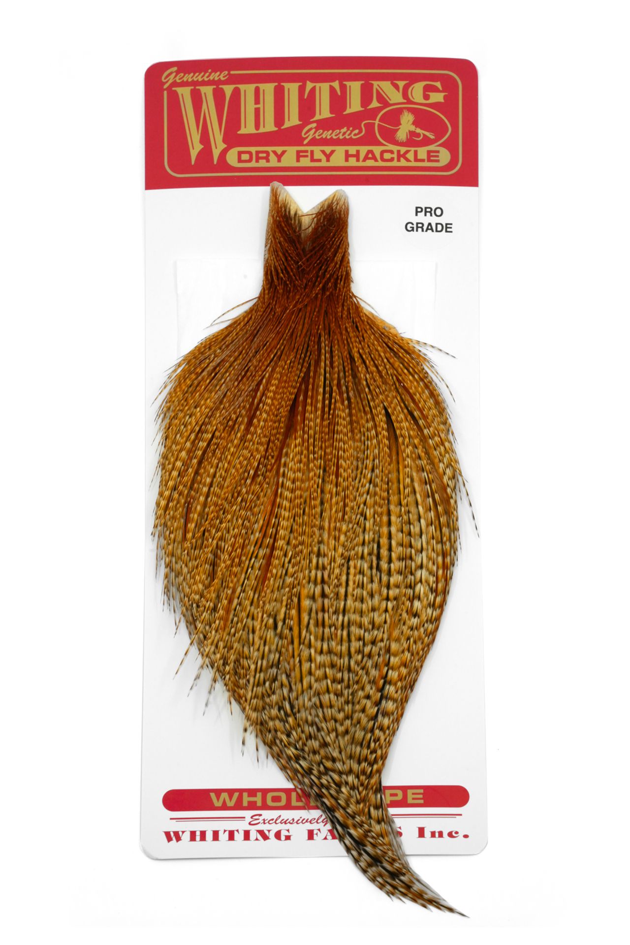 Whiting Pro Grade Cape Barred Dark Ginger