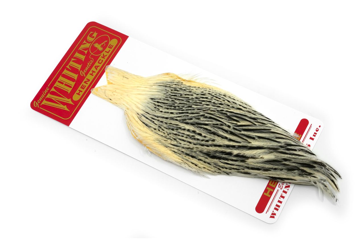 Whiting Hen Cape Unique Variant