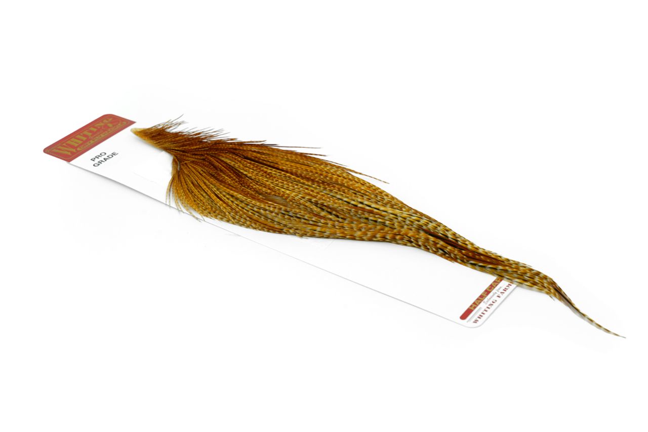 Whiting Pro Grade 1/2 Cape Barred Dark Ginger