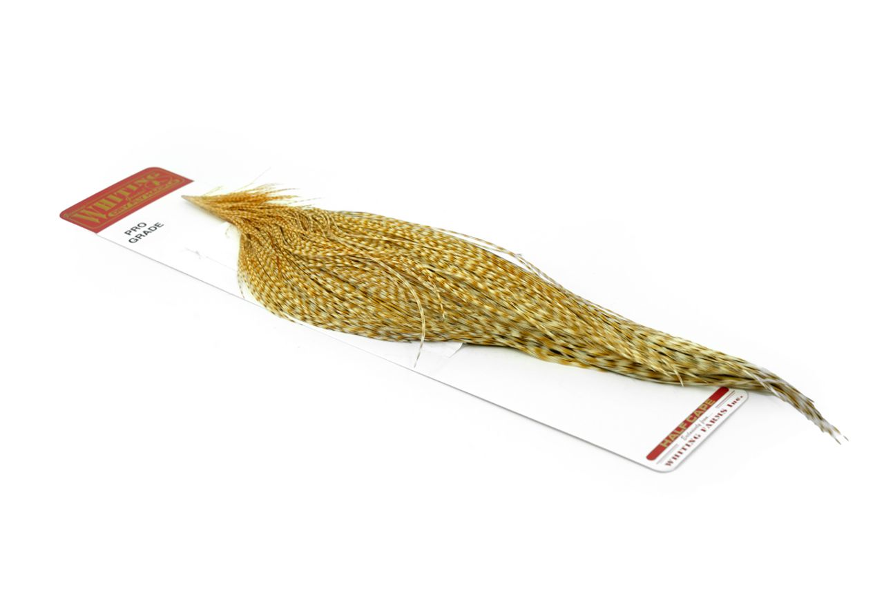 Whiting Pro Grade 1/2 Cape Barred Med. Ginger