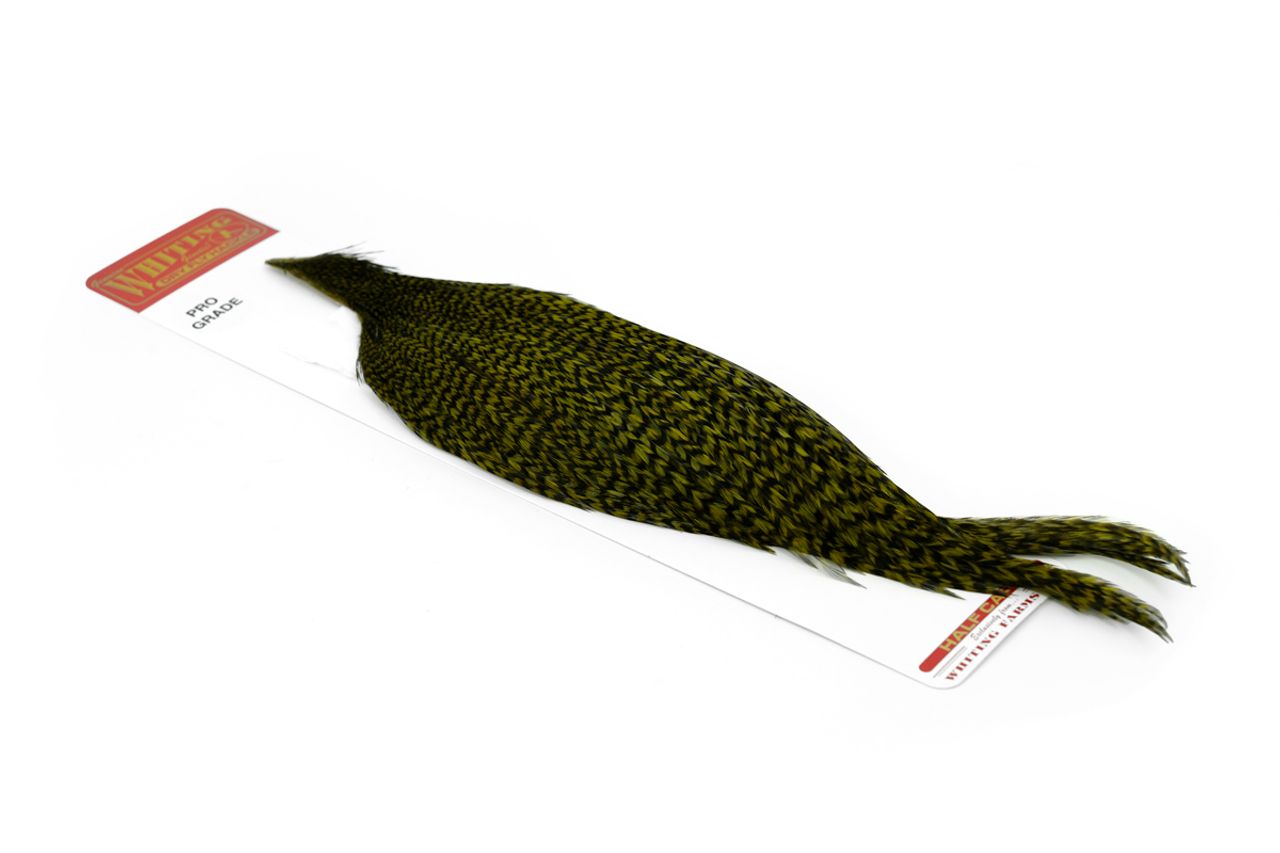 Whiting Pro Grade 1/2 Cape Grizzly dyed Dark Olive