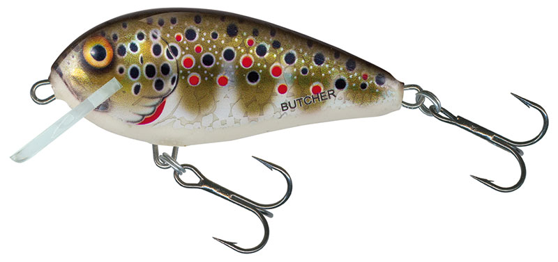BR5S HOLOGRAPHIC BROWN TROUT