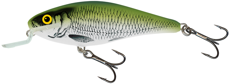 Salmo Executor 9  Shallow Runner olive Bleak