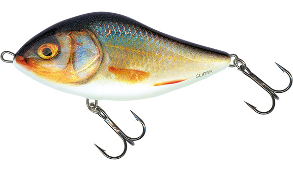 Slider SNK 5cm REAL ROACH