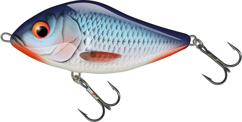 SD10S BLEEDING BLUE SHAD