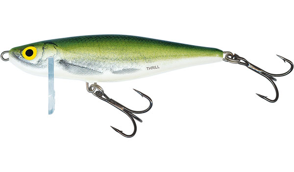Thrill SNK 5cm OLIVE BLEAK