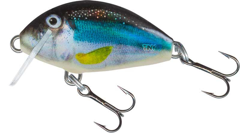 Salmo Tiny 3cm Floating Holo Smelt