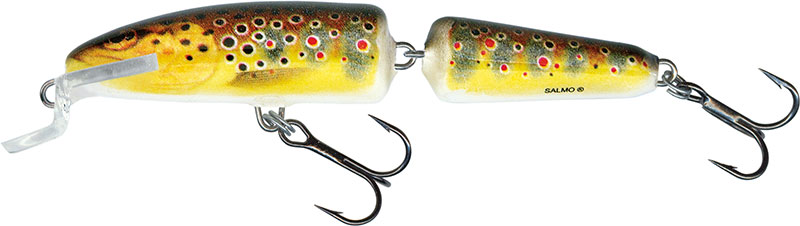 IF7F TROUT