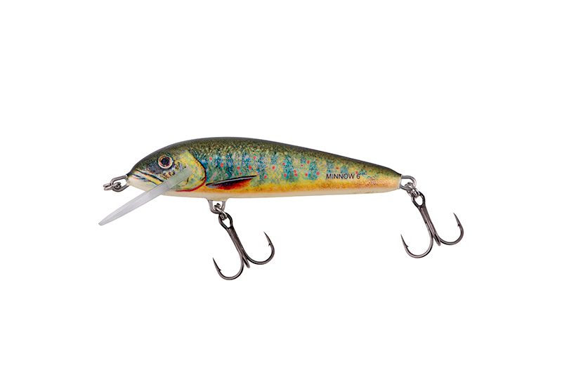 Minnow 5F LAKE CHARR