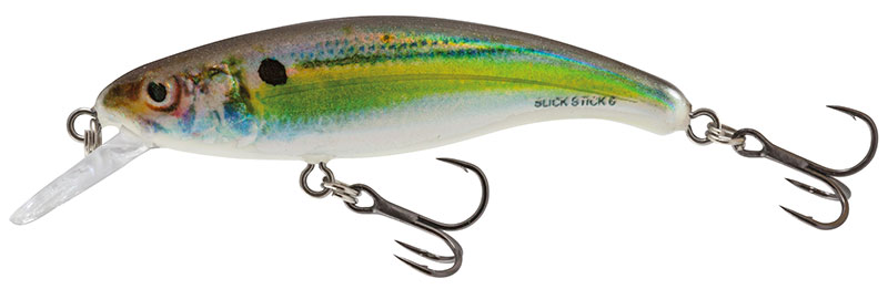 Slick stick REAL HOLOGRAPHIC SHAD