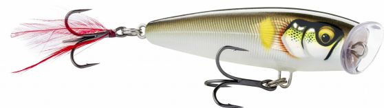 SKITTER POP ELITE SPE95 GDAY