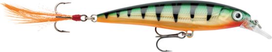 X-RAP XR08 P