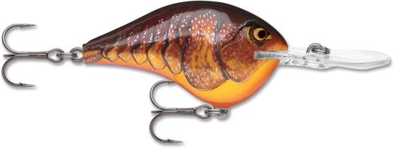 DIVES-TO DT06 DCW-