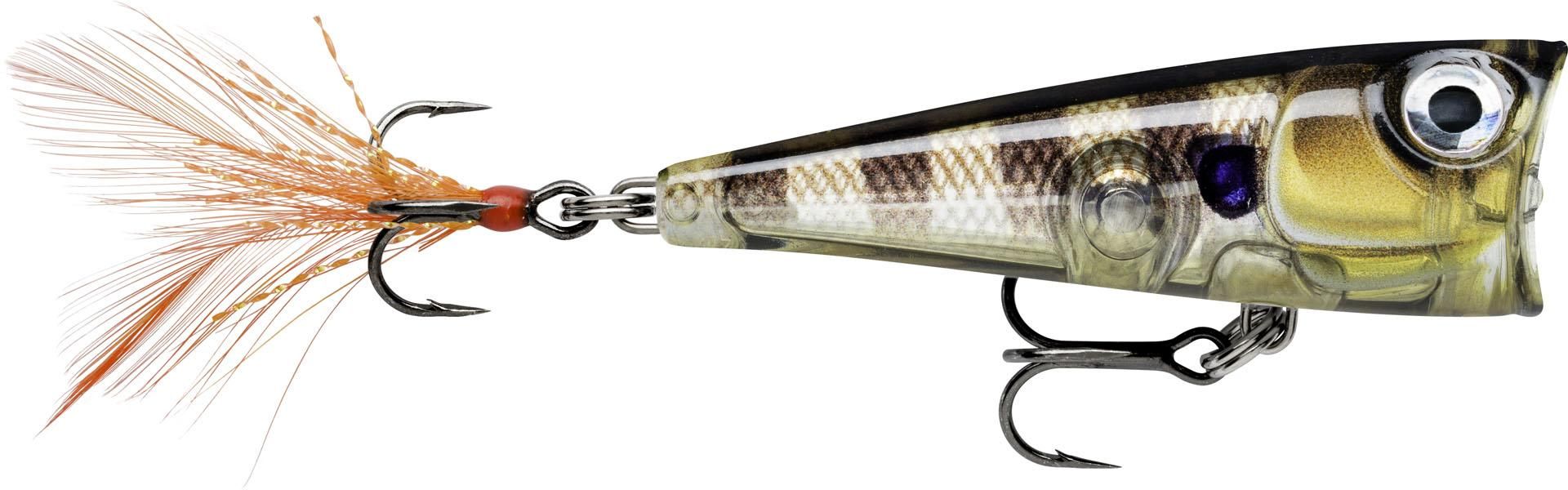 X-LIGHT POP FNP04 GGIU