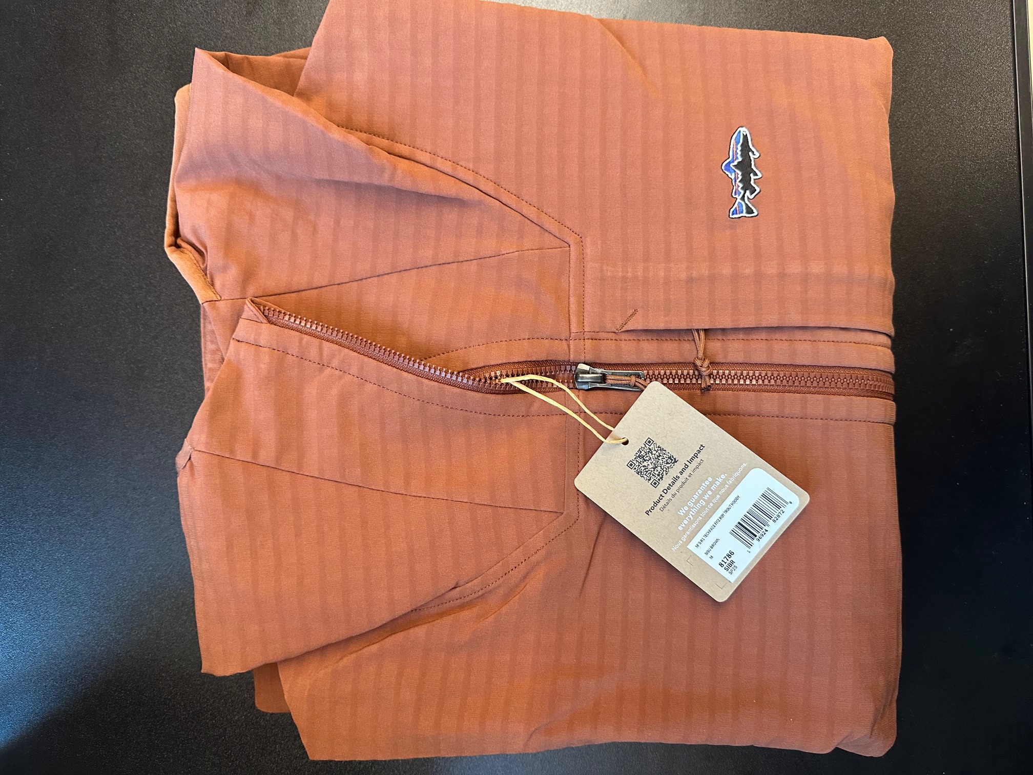 M's R1 TechFace Fitz Roy Trout Hoody - Sisu Brown - L