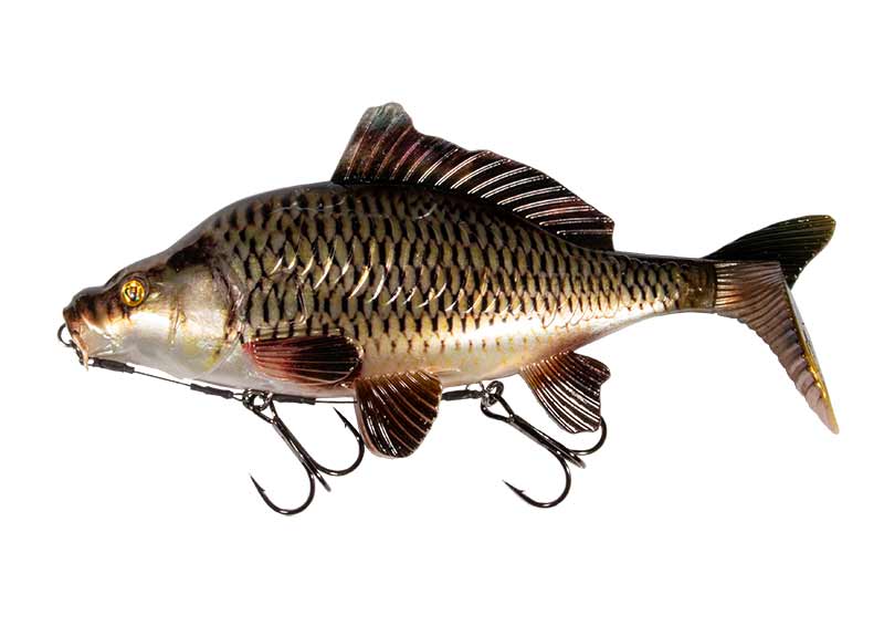 Realistic replicant Common Carp 23cm