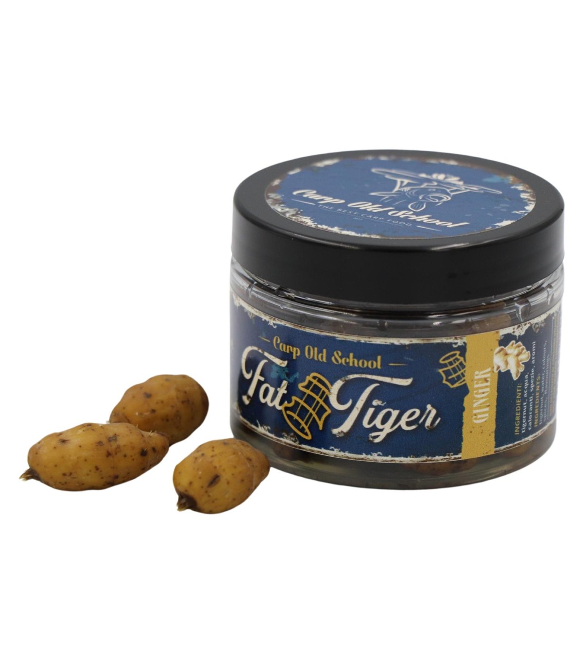 Fat tiger Ginger