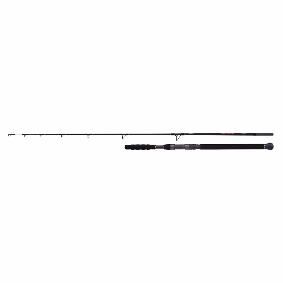 Rod Beastmaster AX Catfish 220