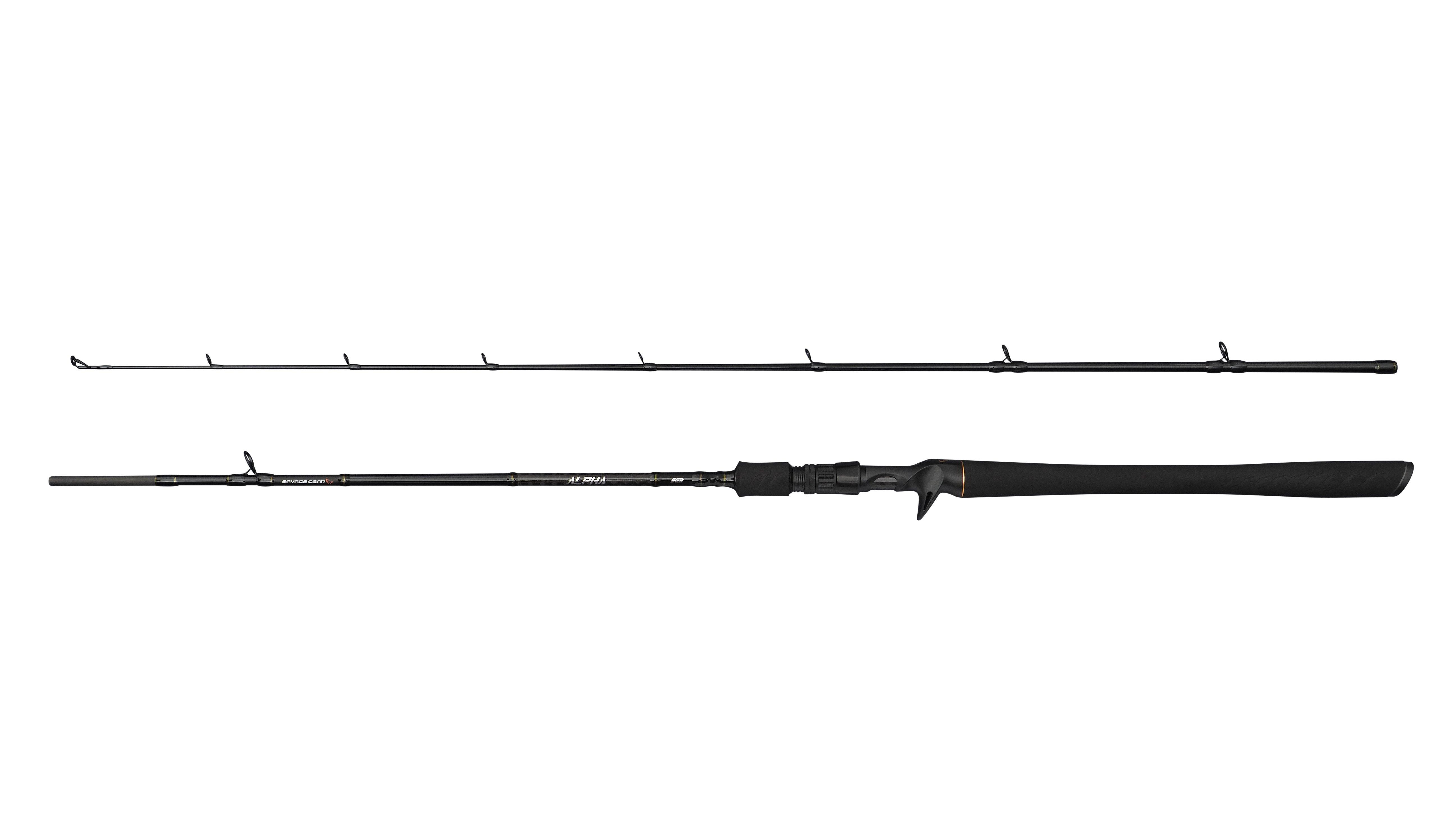 ALPHA SG2 JERK BC 1.98m/50-100g 2p