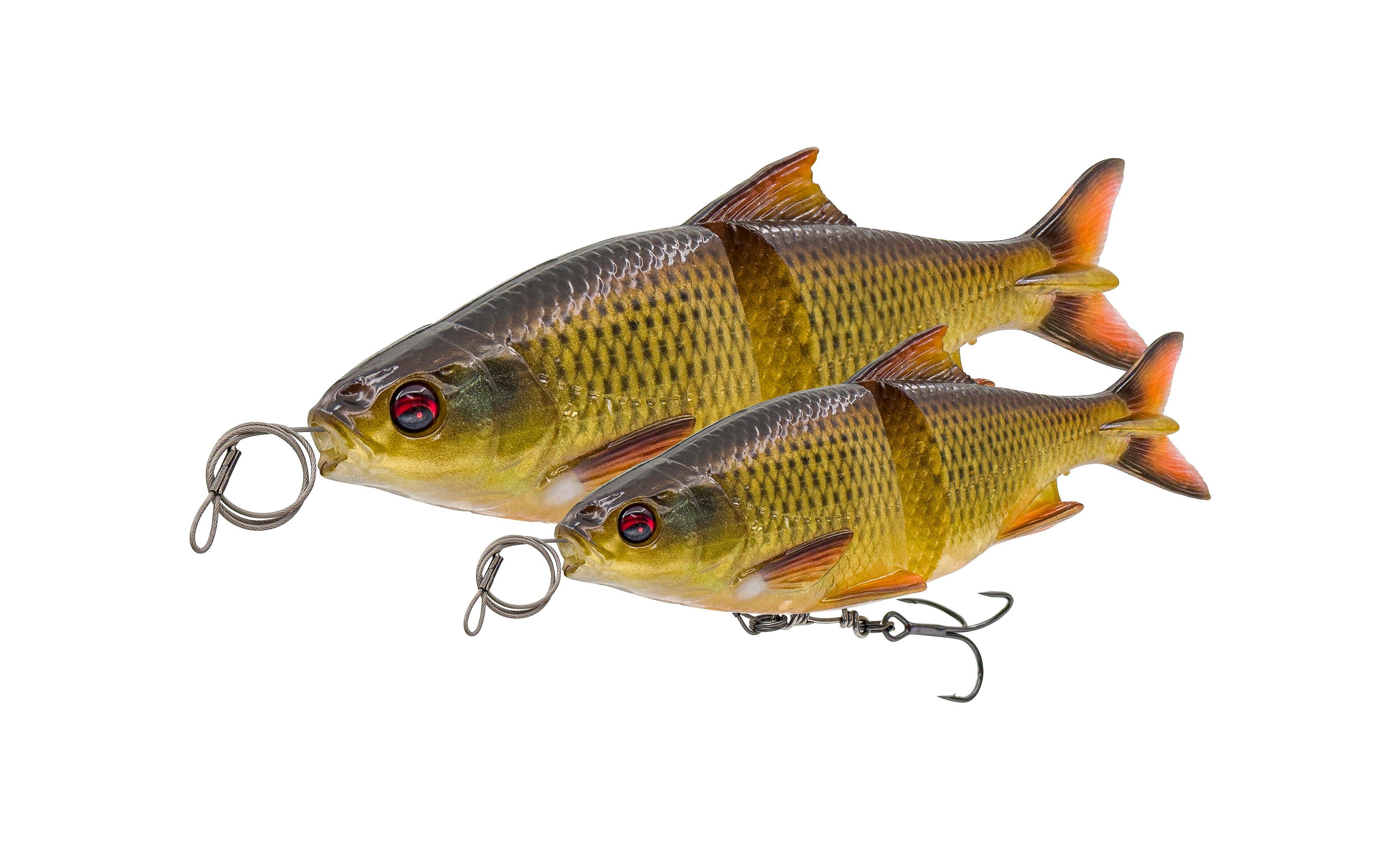 3D GLIDE ROACH 17CM/78G SS CL RUDD