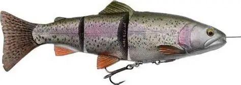 4D LINE THRU TROUT 25CM 180GR -  SLOW SINK - RAINBOW