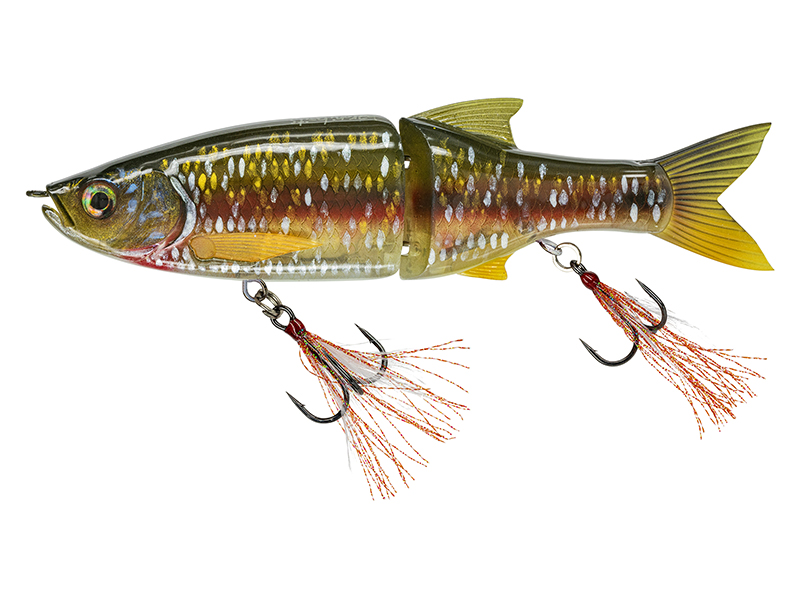 Glaid Bait 178 by Baroni Baits - Creek chub