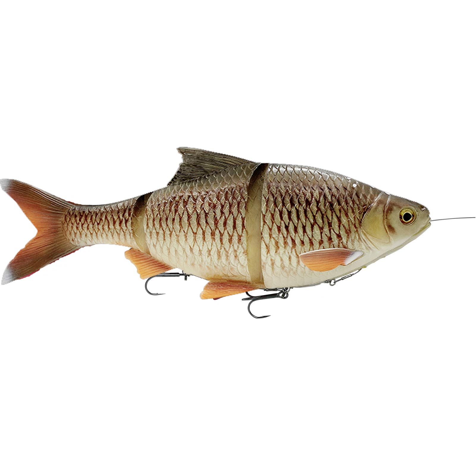4D LINE THRU ROACH - 32cm - 445gr -sinking -BREAM