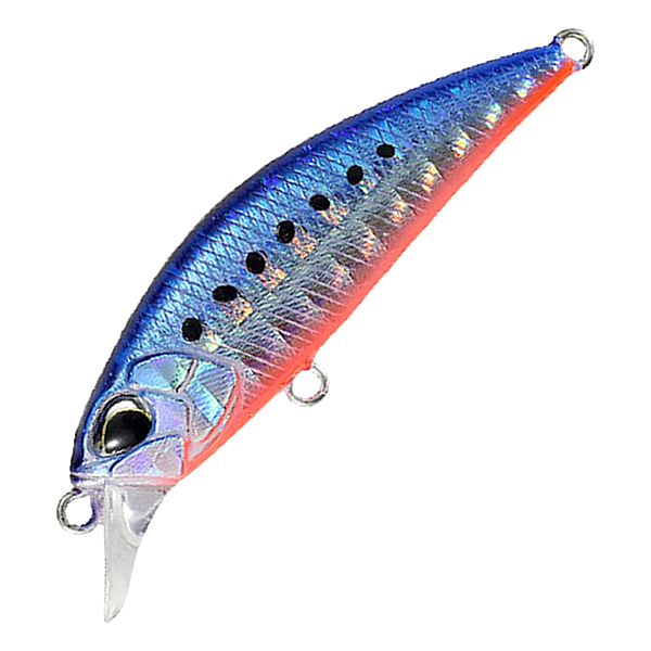 DUO Spearhead Ryuki 70 S SW #AHA0087 Mazume Sardine