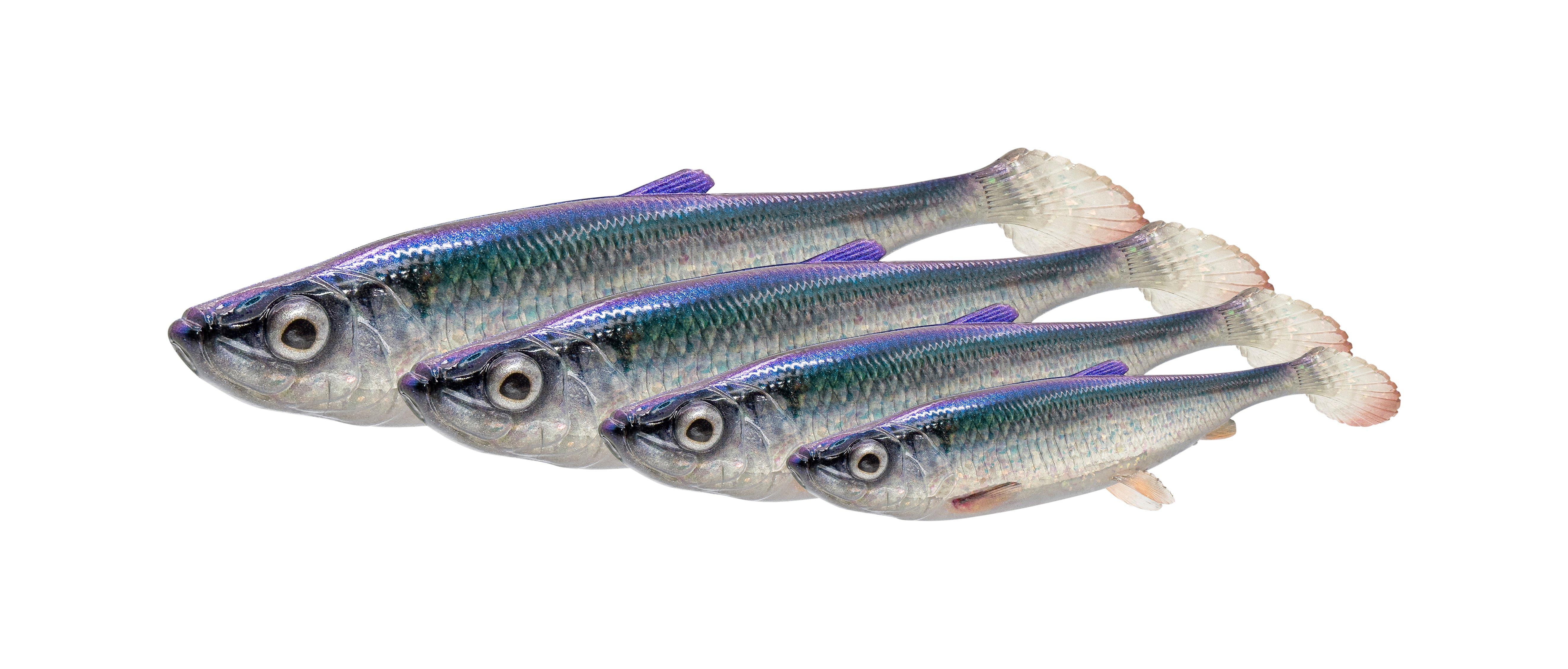 3D HERRING SHAD 17.5CM 35g CL RUDD 2PCS