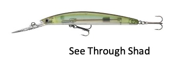 TN Double Clutch 95SP-G STS See Through Shad