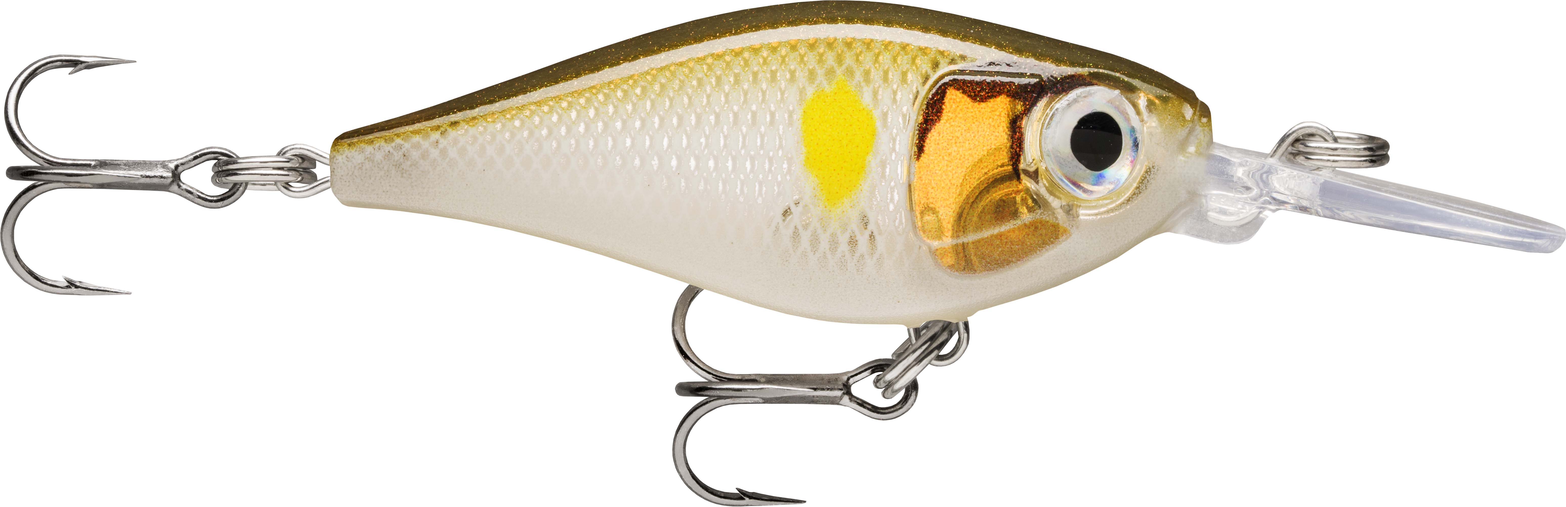 X-LIGHT SHAD 04 AYU
