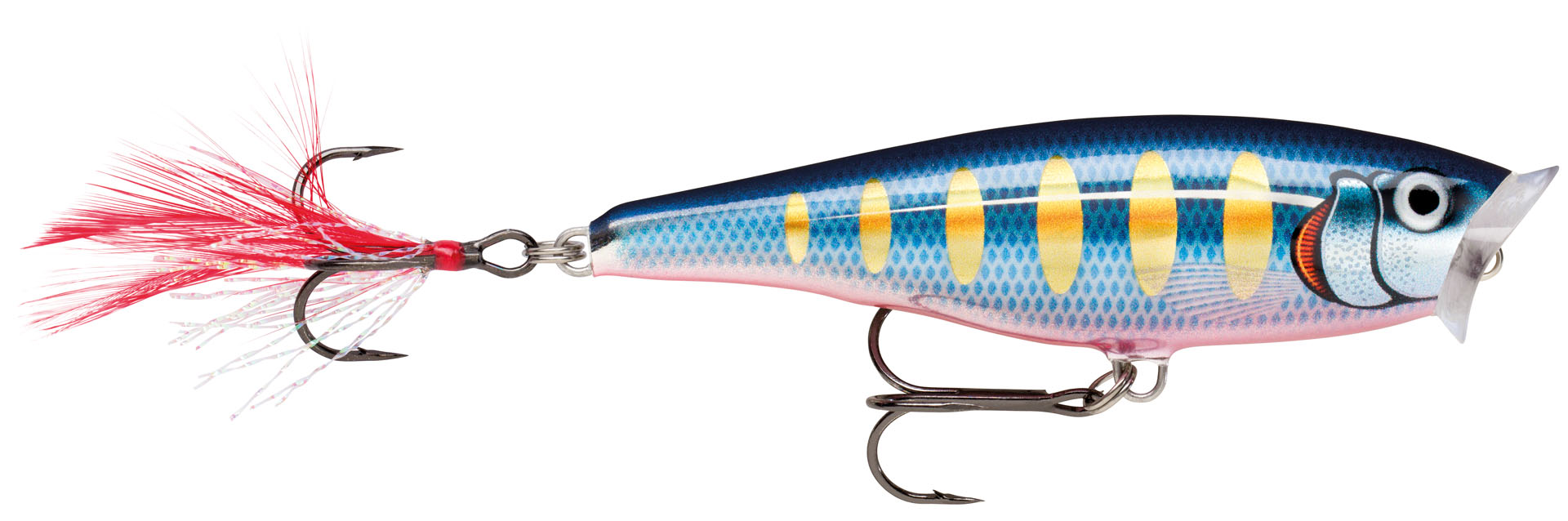 SKITTER POP SP05 STHB