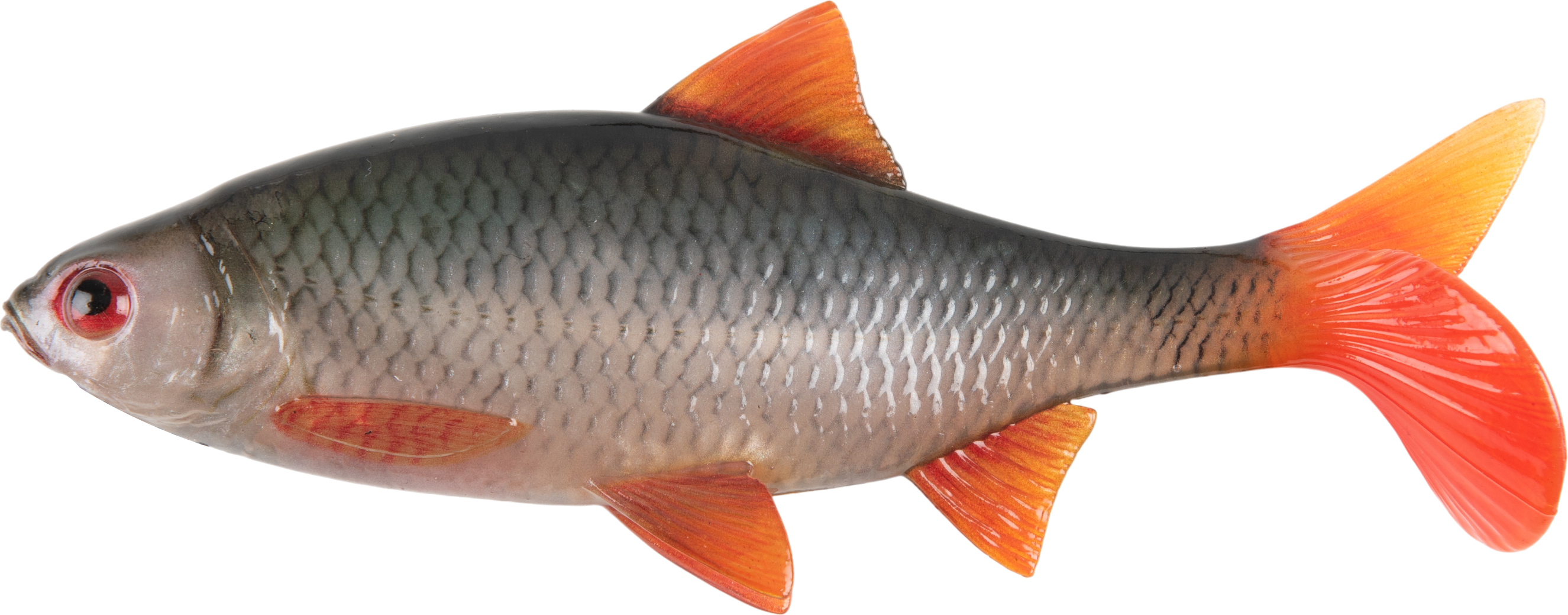 Ultra Natural Roach 14cm 