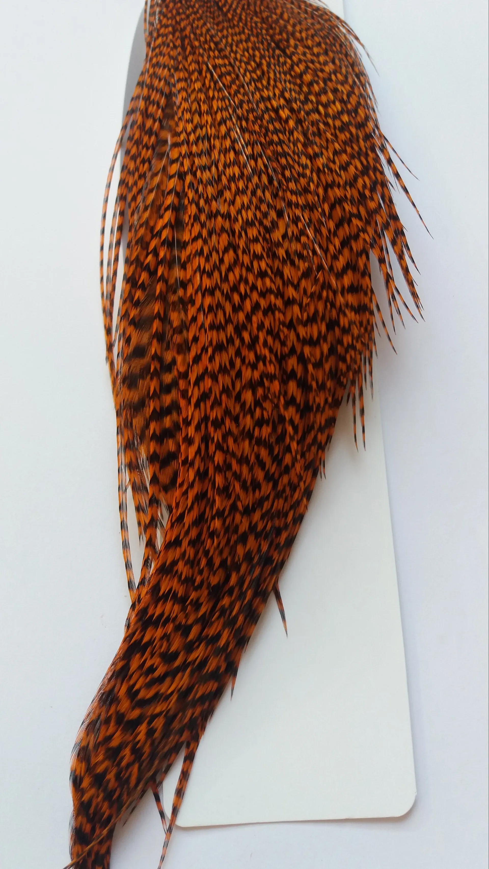 Whiting prograde 1/2 cape gr/bnt org Grizzly dyed Burnt Orange