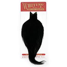 Whiting commercila cape Black