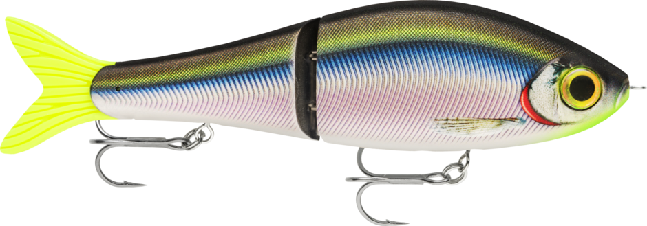 SUPER SHADOW RAP GLIDE 16 RSML