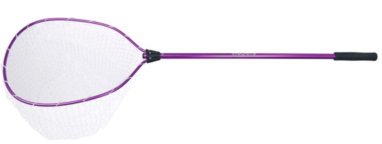GUADINO PURPLE