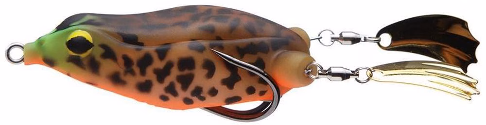 TECKEL HONGER FROG COL 006B ORANGE BELLY