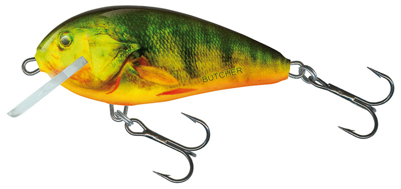 BR5S SUPERNATURAL HOT PERCH